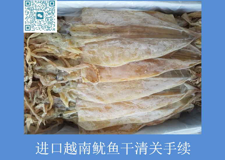 進(jìn)口越南魷魚干清關(guān)手續(xù).jpg